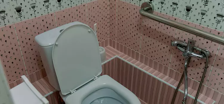 Meeting Diverse Needs With Accessible Restroom Solutions in Arlington, WA